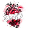 Crossfit Animarum